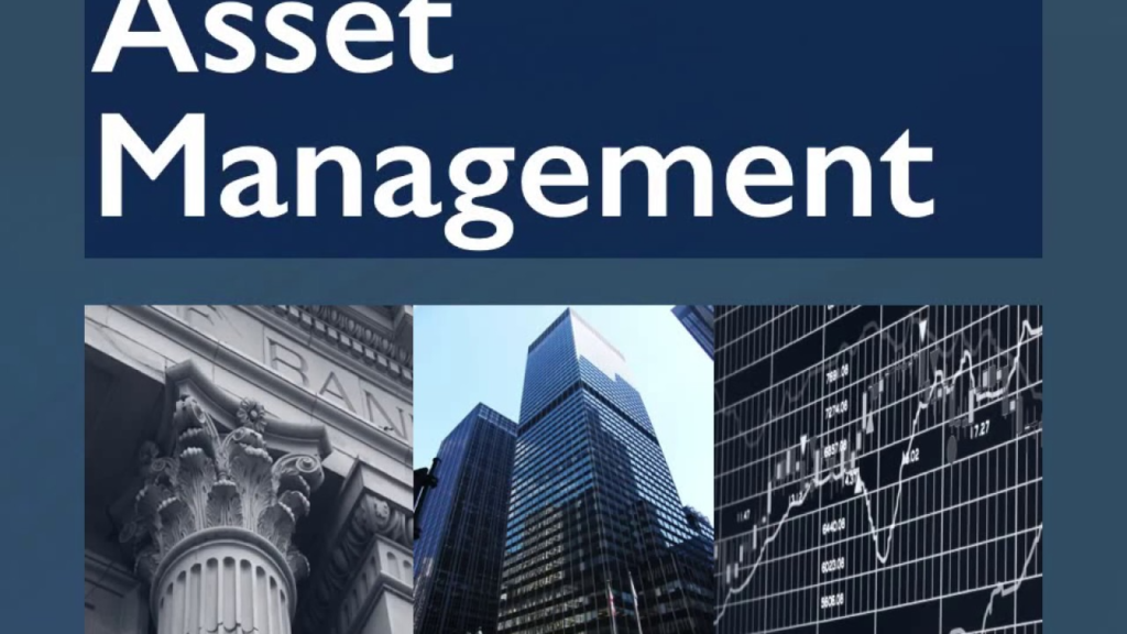 MSc Asset Management