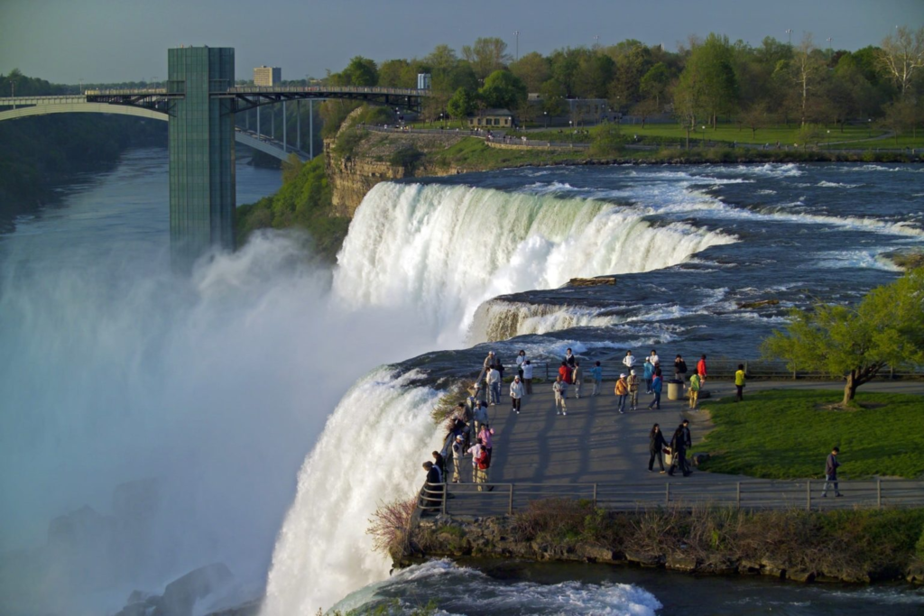 University Of niagara fall